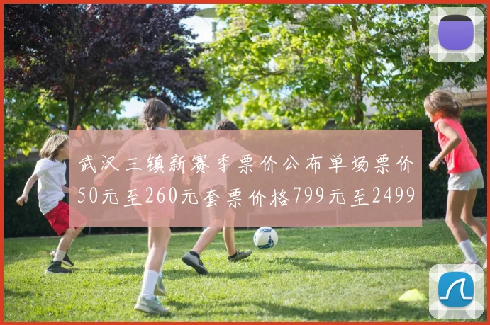 武汉三镇新赛季票价公布单场票价50元至260元套票价格799元至2499元