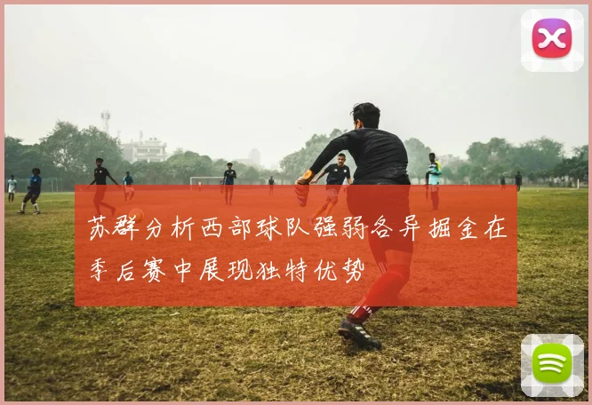 苏群分析西部球队强弱各异掘金在季后赛中展现独特优势
